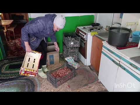 Видео: Торт в разрезе🍰Квашу капусту🥦Лук,чеснок на чердак/Дела по хозяйству.