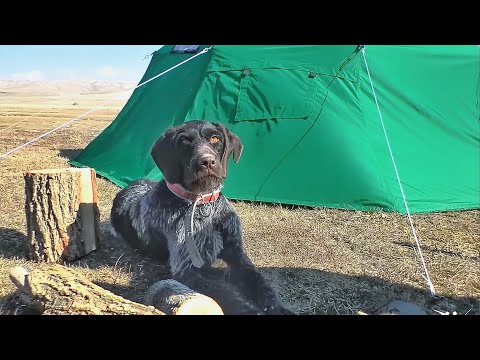 Видео: ÖRDEK KAMPI.. SABAH BEKİ VE PARLAMA AVI. KAMP SOBASIN'DA YEMEK PİŞİRME. Duck Hunting/Охота на утку