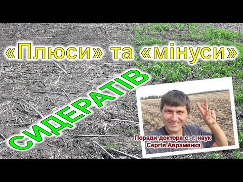 Видео: Плюси та мінуси сидератів