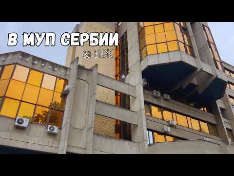 Видео: ВЛОГ о том, как мы ездили в МУП за ВНЖ Сербии по ИП | мужу дали, а мне — нет 😱 Наш реальный кейс