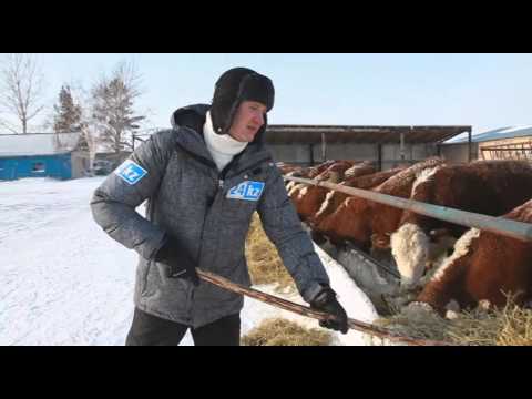Видео: Большие города. Сергеевка