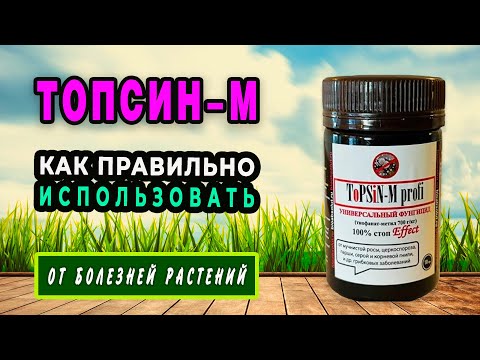 Видео: Топсин М — сильное и быстродействующее средство для защиты растений от болезней