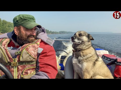 Видео: Горит тайга, воды мало. Идем на ощупь, чуть не падая в обморок. ЧТО ДЕЛАТЬ? В эпицентре пожара. 15с.