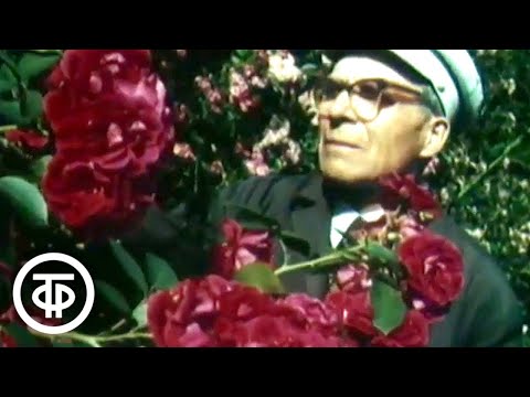 Видео: Главный ботанический. Документальный фильм (1974)