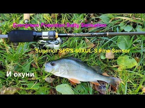Видео: Evergreen Poseidon Salty Sensation Superior SPRS-60XUL-S Fine Sensor. И окуни.