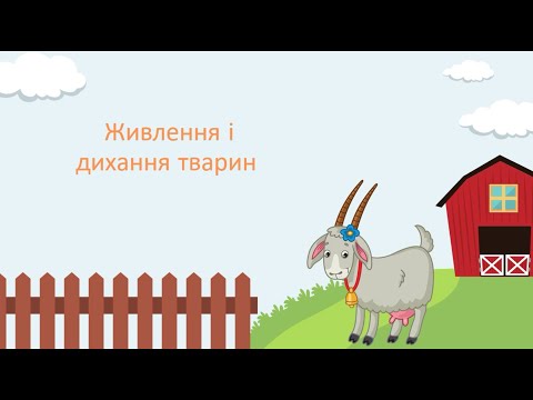 Видео: Живлення і дихання тварин