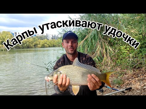 Видео: Поплавок ушел под воду... И началось безумие!