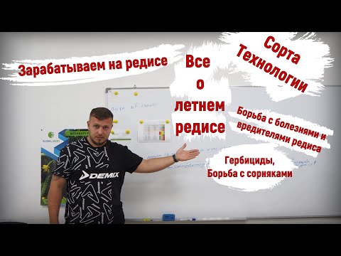 Видео: Редиска, как бизнес. Все по полочкам. Технология летнего выращивания.