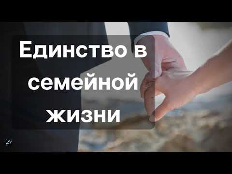 Видео: Единство в семейной жизни   А.Елисеев  Беседа для семейных