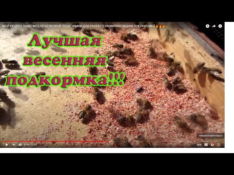 Видео: МОЙ РЕЦЕПТ ЗАМЕНИТЕЛЯ БЕЛКОВОЙ ПОДКОРМКИ ДЛЯ РАННЕГО РАЗВИТИЯ НАШИХ ПЧЕЛОСЕМЕЙ🔥🔥🔥