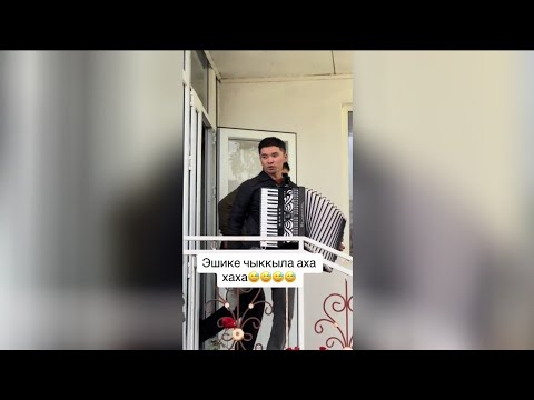 Видео: БУЛ ЖИГИТ ЖАТЫПТЫР ГО ТАЗА 🤣🤣🤣 ТОЛЬКО КӨРҮП ТҮШҮНӨСҮЗ МУНУ