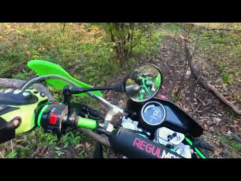 Видео: ОСЕННЕЕ ЭНДУРО В ЛЕСУ/ REGULMOTO TE300/JHL175