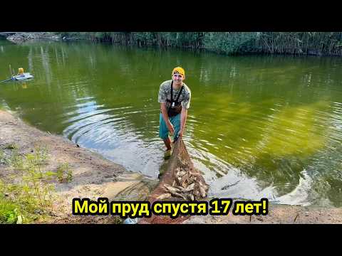 Видео: МОЙ Пруд на участке. Рыбалка сетями. Рыбалка.