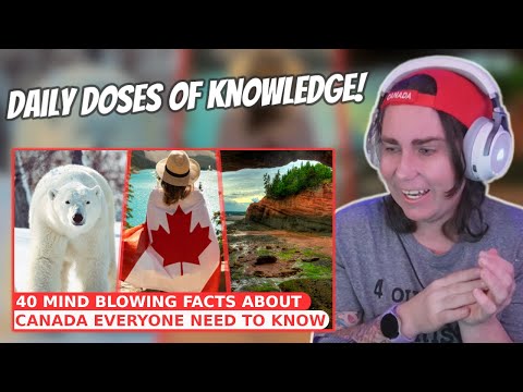 Видео: ИЗУЧЕНИЕ КАНАДА: 40 потрясающих фактов, которые должен знать КАЖДЫЙ! | Реакция австралийцев | Aus...