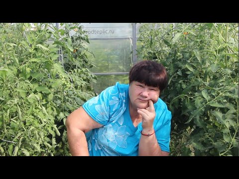 Видео: ОТ ВСЕХ ОГОРОДНИКОВ, ПАША, БОЛЬШОЕ ТЕБЕ СПАСИБО!