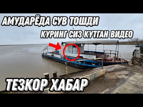 Видео: АМУДАРЁДА СУВ ТОШДИ КУРИНГ СИЗ КУТГАН ВИДЕО ТЕЗКОР ХАБАР 12 марта 2024 г.