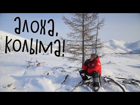 Видео: Алоха, Колыма!