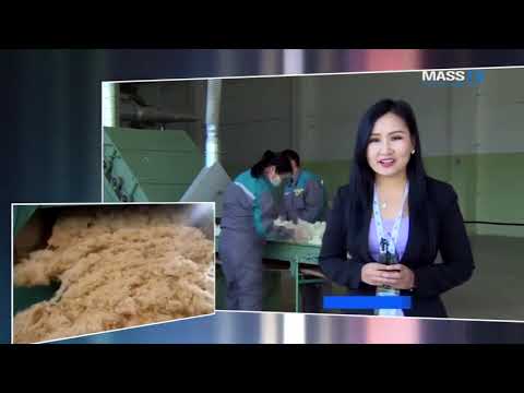 Видео: Эко ноос