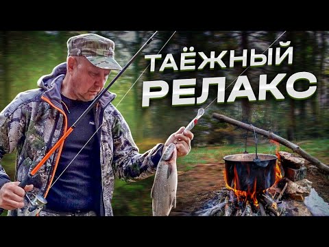 Видео: В лесу, как дома. Пожар в тайге. Добыл и приготовил...