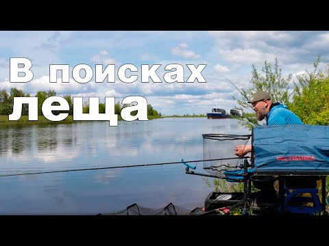 Видео: ЛЕЩ "ЗАКРЫЛ РОТ"? Соблазним его вкусняшкой и поймаем!