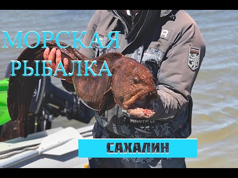 Видео: Морская рыбалка на Сахалине #туризм #рыбалка #сахалин #спиннинг #морскаярыбалка