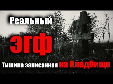 Видео: Реальный ЭГФ записанный на кладбище в родительский день. Голоса из иного мира.