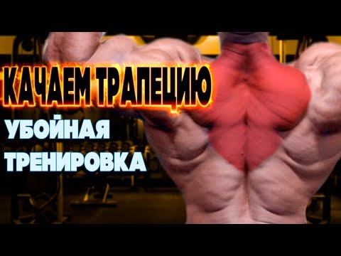 Видео: Упражнения для БОЛЬШИХ ТРАПЕЦИЙ ⏩ Как накачать Трапециевидные Мышцы