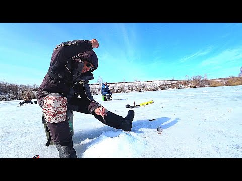 Видео: ЗДЕСЬ ТОННЫ РЫБЫ / ЗАКРЫТИЕ ЗИМНЕГО СЕЗОНА 2023