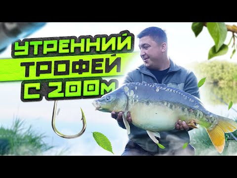 Видео: КОРОТКАЯ РЫБАЛКА В РАЙСКОЙ ЗАВОДИ! Ловля карпа на Всплеск.