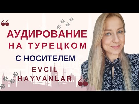 Видео: АУДИРОВАНИЕ С НОСИТЕЛЕМ. ТЕКСТ ДЛЯ ПРОСЛУШИВАНИЯ НА ТУРЕЦКОМ EVCİL HAYVANLAR