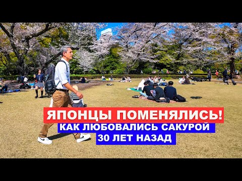 Видео: Японцы Поменялись! Как Японцы собираются на Сакуру 2024?