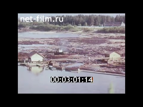 Видео: 1976г. река Кама. деревня Карпушата. Керчевский сплавной рейд. Соликамск.