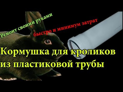 Видео: Кормушка для кроликов из пластиковой трубы