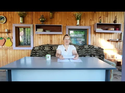 Видео: 1. Сотворение Общины. С чего следует начать.