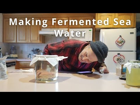 Видео: Приготовление ферментированной морской воды
