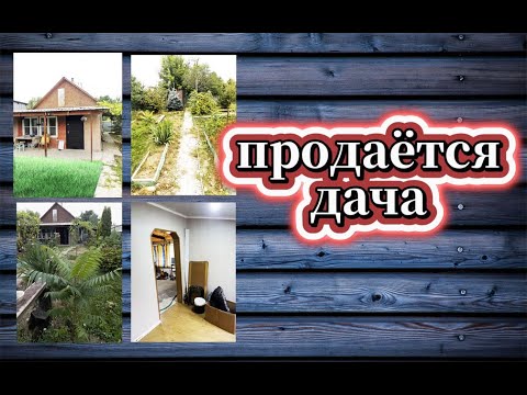 Видео: 🇰🇿 КАЗАХСТАН /ПРОДАЁТСЯ ДАЧНЫЙ УЧАСТОК В АЛМАТИНСКОЙ ОБЛАСТИ