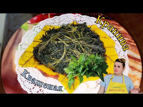 Видео: КВАШЕНАЯ КРАПИВА СТАРИННЫЙ РЕЦЕПТ, ВПЕРВЫЕ ГОТОВЛЮ.🫙🧂🌱