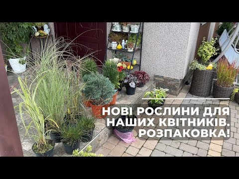 Видео: Нові рослини для наших квітників. Розпаковка!