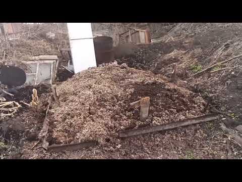 Видео: Перепелиный помет! Куда девать! Нашёл выход из ситуации! 😉👍Сделаю перегной в открытом грунте!