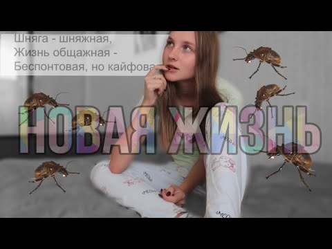 Видео: ПЕРЕЕЗЖАЮ В ОБЩЕЖИТИЕ