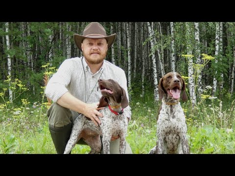 Видео: Открытие охоты по перу 2024