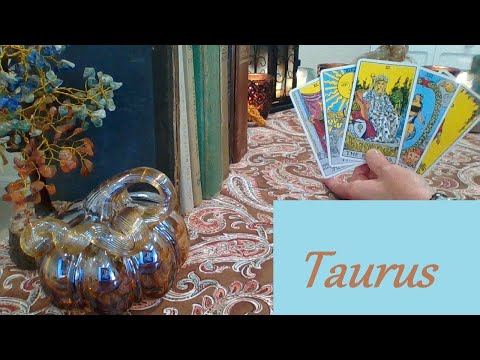 Видео: Телец, ноябрь 2025 г. ❤💲 СУПЕР! Самый потрясающий разговор в вашей жизни: ЛЮБОВЬ И КАРЬЕРА