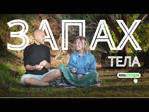 Видео: Запах тела