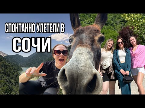 Видео: Спонтанно улетели в Сочи