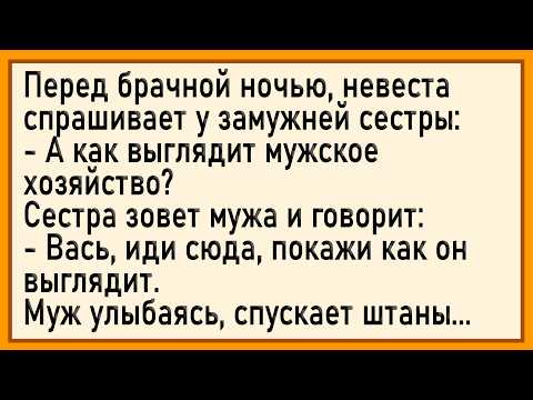 Видео: Как муж жены сестру 0прих0довал! Сборник свежих анекдотов! Юмор!