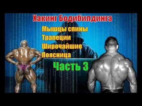 Видео: Как накачать мышцы спины. Лучшие упражнения. Техника. Часть 3. Хакинг Бодибилдинга