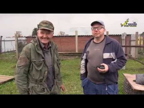 Видео: Как отучить собаку подбирать с земли, так дрессировали в СССР