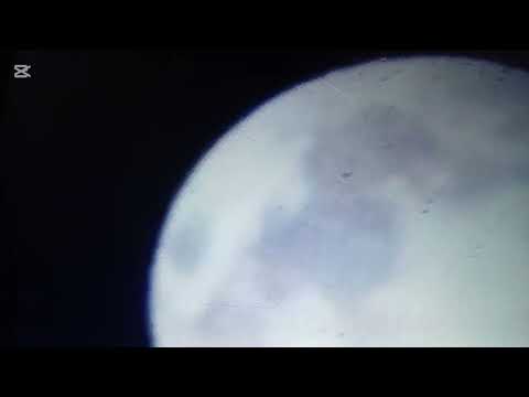 Видео: 1 ноября 2025 г.