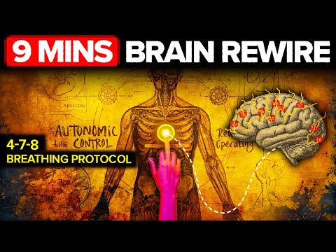 Видео: 9-минутный дыхательный трюк от нейробиолога из Гарварда для перенастройки мозга
