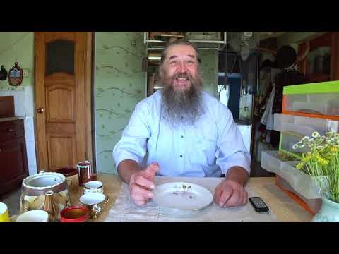 Видео: Заварка травяного чая часть 2